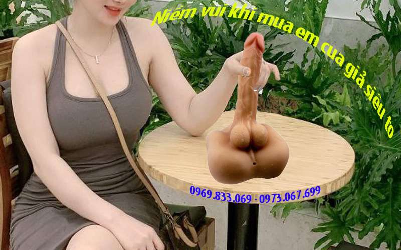 Niem-vui-khi-mua-cu-gia-sieu-to